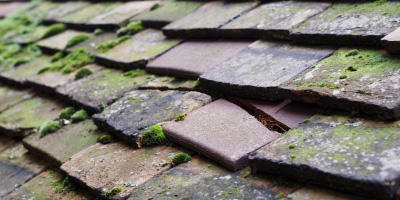 Hebron roof repair costs